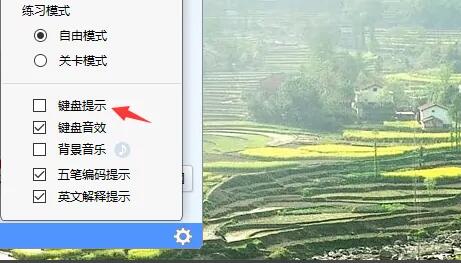 设置页面中突出显示键盘提示选项，界面直观易懂
