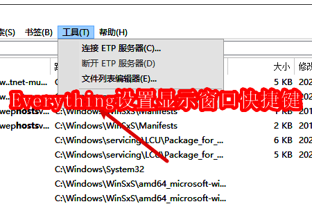 Everything软件主界面展示,界面整洁,功能选项清晰可见