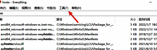 Everything软件工具菜单展开示意图,选项列表清晰明了