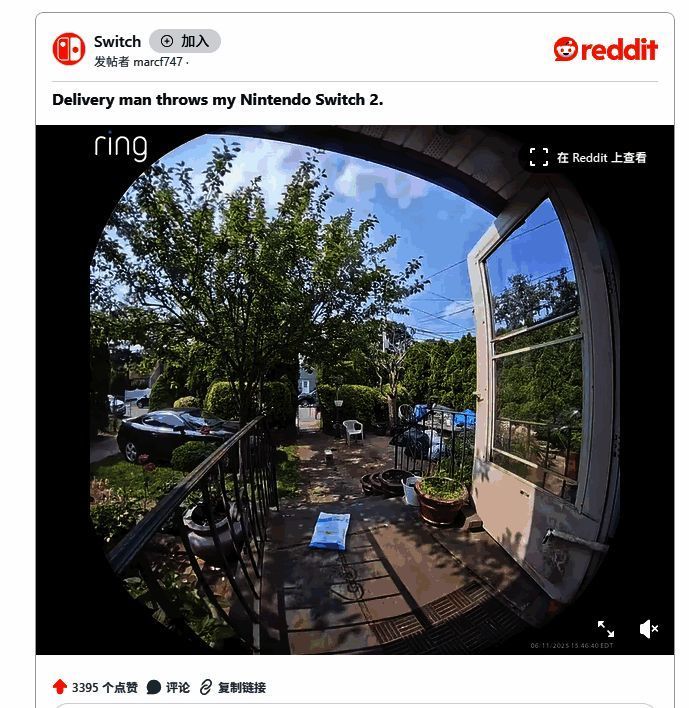 玩家家中摄像头拍下的快递员投递画面