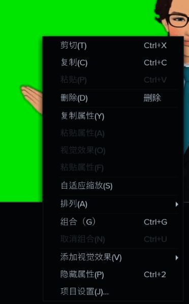 项目设置选项界面截图