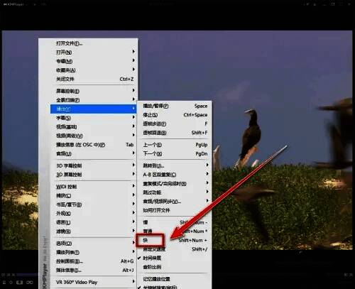 播放速度加速后的界面显示,播放进度条已向前推进,体现加速效果