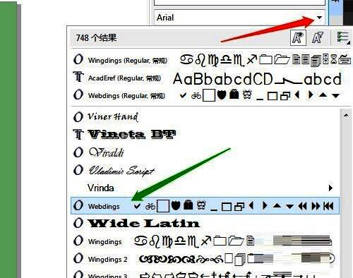 插入字符窗口界面,字体列表和预览区域清晰可见