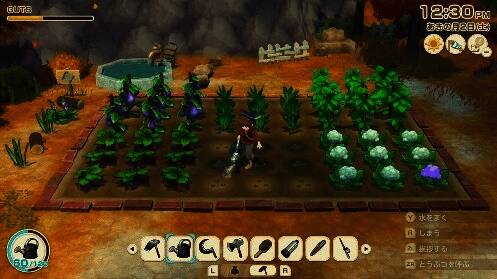 四季变换场景对比图，季节影响农作物生长周期