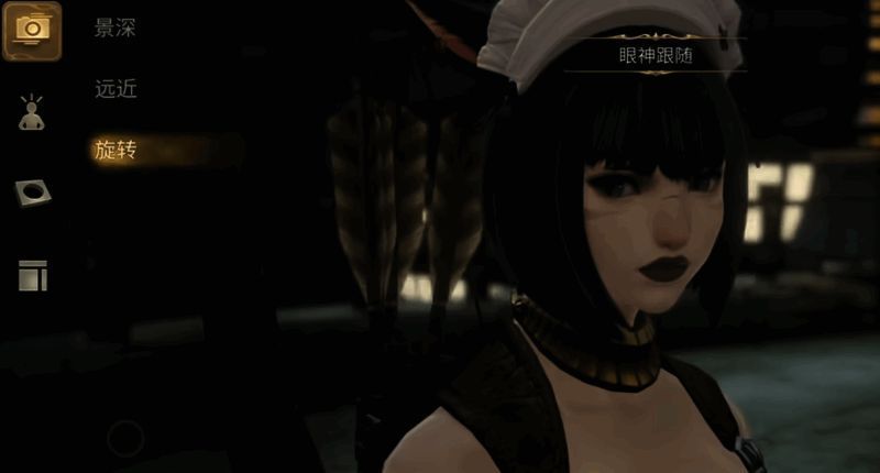 最终幻想14拍照景深与镜头调节功能界面