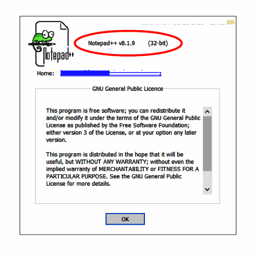 关于Notepad++窗口截图,显示详细的版本号信息