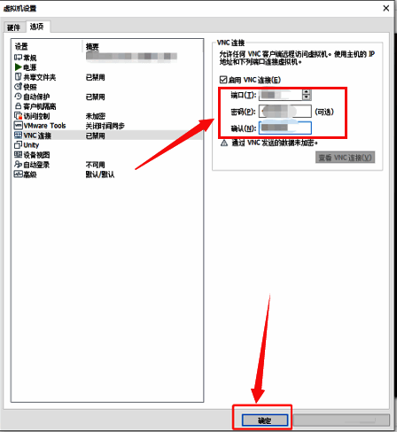 VNC连接配置完成界面,显示端口与密码输入框已填写示例内容