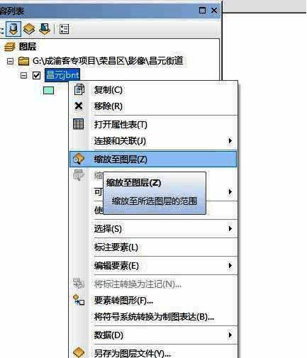 缩放到图层功能执行后的地图最终显示效果