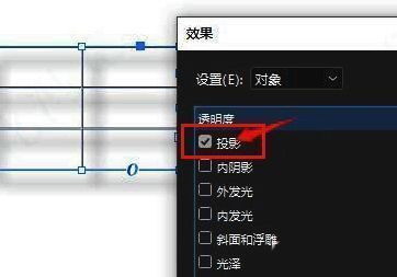 投影设置窗口截图,投影选项被激活并用红色圈出