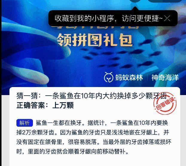 鲨鱼牙齿结构示意图，展示牙齿排列与替换机制