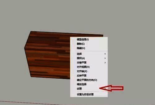 纹理设置界面，包含“上一步”、“下一步”按钮以及当前纹理预览窗口