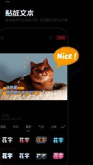 剪映软件界面展示多种编辑选项和预设滤镜效果