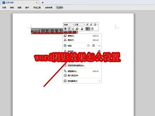 Word字体设置窗口界面截图,展示字体选择与效果设置区域