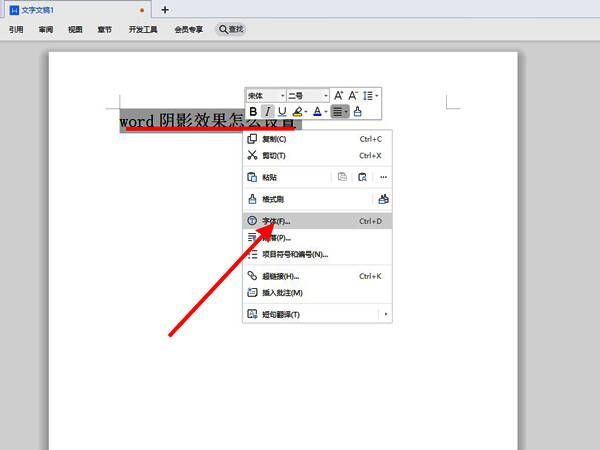Word字体文本效果选项下拉菜单截图,展示多种效果选择