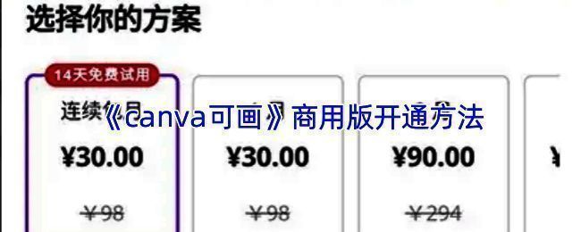 Canva可画支付界面示意图,展示微信与支付宝支付选项