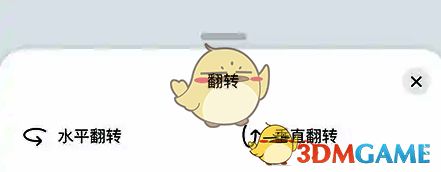 翻转功能选项界面，清晰显示水平翻转与垂直翻转按钮