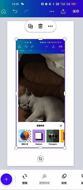 Canva可画电脑端操作界面,显示图片裁剪为圆形的具体步骤