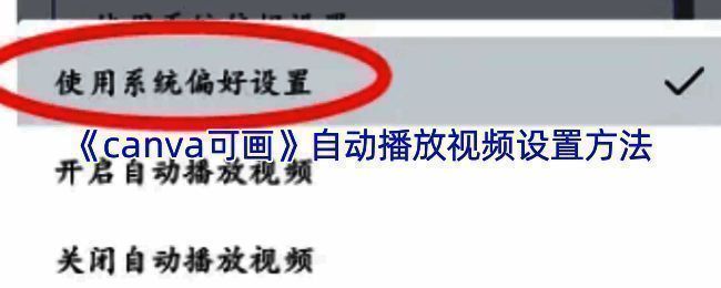 Canva可画操作界面展示,包含设置选项和功能按钮的完整布局