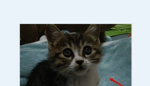 截图工具界面，展示如何进行截图操作