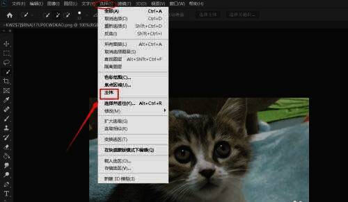 Photoshop操作界面，展示选择主体功能的使用方法