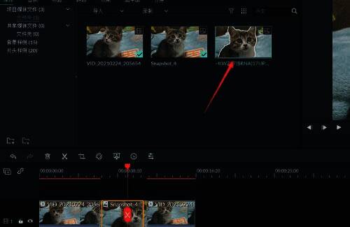 Filmora导入图片界面，展示导入图片的操作步骤