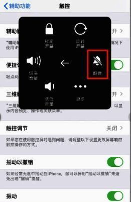 设备设置界面展示,静音按钮已被点击,手机进入静音状态