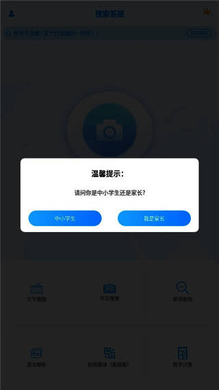 文字搜索界面展示,输入框清晰可见,操作简单直观
