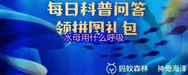 神奇海洋游戏界面截图,展示水母科普问题界面