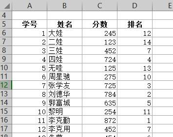 完成填充后的表格展示,清晰显示排名结果