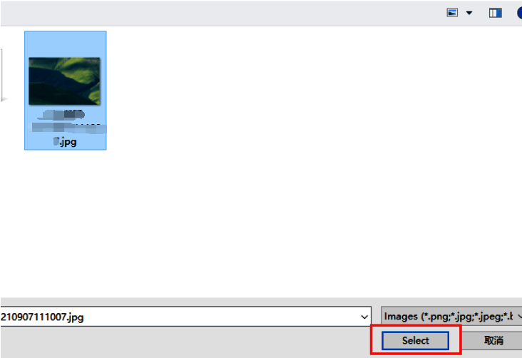 文件选择窗口展示，一张图片被选中，准备插入文档