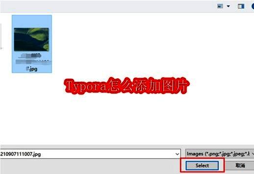 Typora编辑界面展示，文档中成功插入一张图片，排版整洁美观