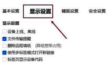 显示设置面板界面,包含语言、主题等多项显示选项
