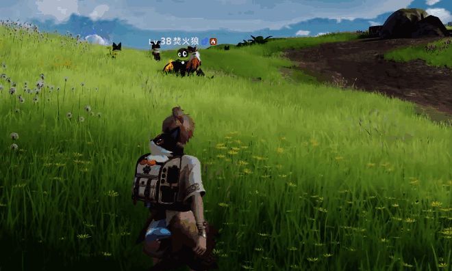 焚火狼在草原上燃烧着火焰,周围环境炎热而壮观