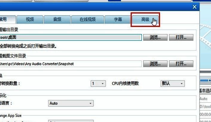 高级设置页面截图,突出显示“高级”标签位置及可选功能列表