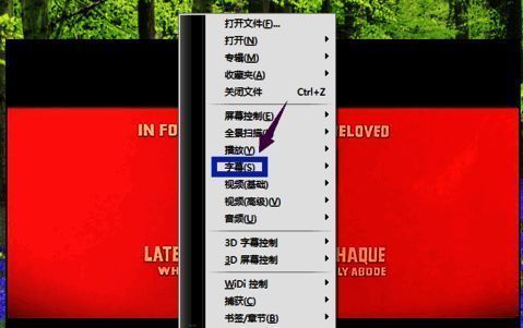 右键菜单展开状态,清晰显示字幕功能入口