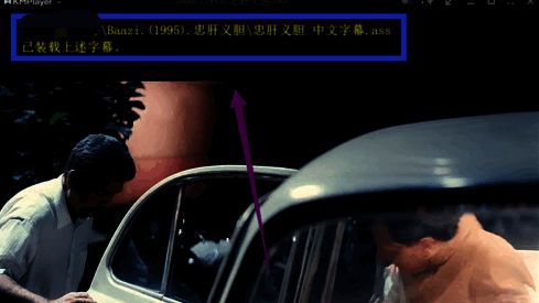 视频播放画面底部成功显示字幕文本,字体清晰易读