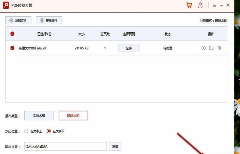 进度条显示转换完成状态,界面提示“任务成功”