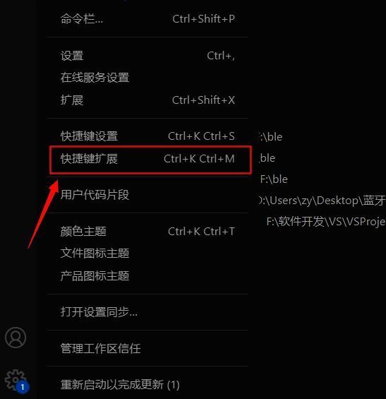 VSCode侧边栏显示扩展面板,搜索框位于顶部,下方列出多个推荐插件