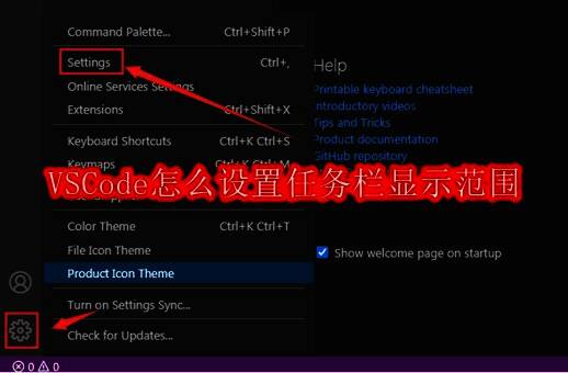 VSCode主界面左下角齿轮图标位置示意图,用于进入设置菜单