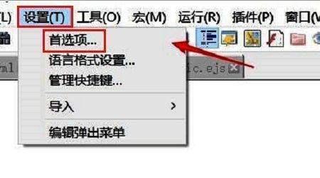 Notepad++ 菜单栏展示设置与首选项入口,界面清晰标注操作路径