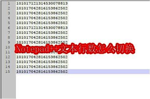 Notepad++主界面展示,左侧为文件列表,右侧为代码编辑区域,界面清晰简洁