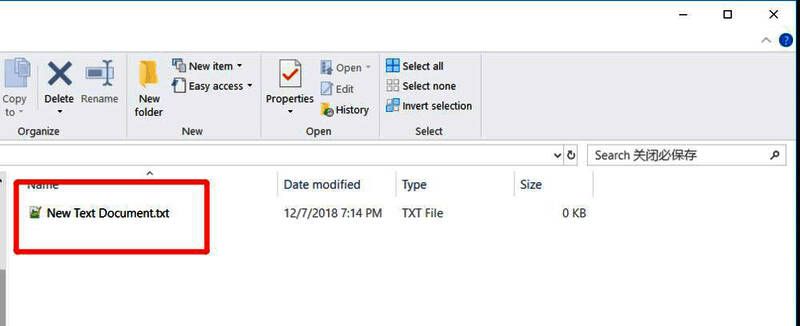 Notepad++界面展示新建文件并输入文本的操作过程