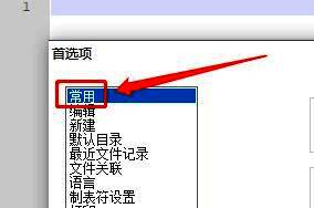 Notepad首选项窗口,左侧选中‘常用’标签,右侧区域显示相关设置项