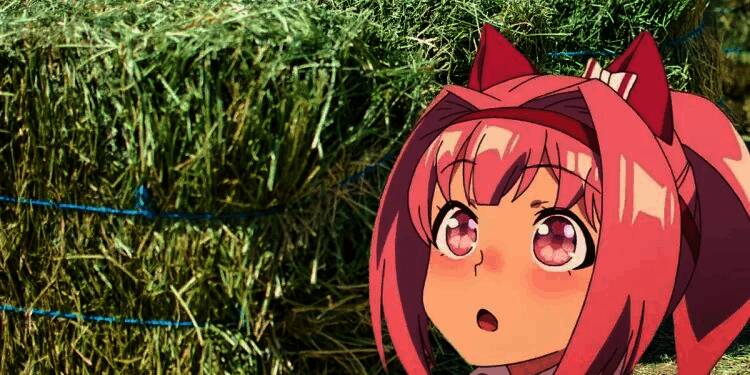 春乌拉拉原型马在牧场中悠闲吃草，阳光洒落，画面温暖治愈