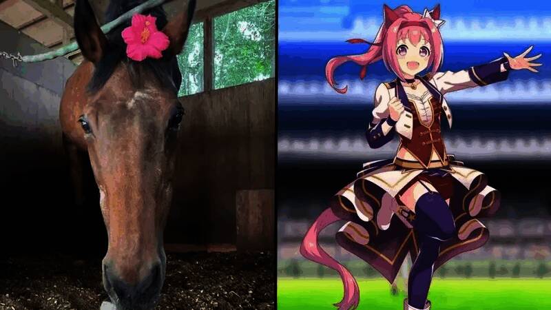 手绘风格插画展示春乌拉拉站在终点线前，身后是挥舞应援棒的虚拟观众