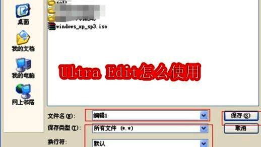 Ultra Edit软件启动界面展示,界面包含布局选择、主题设置和菜单模式选项