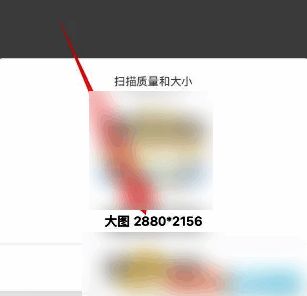 扫描质量选择界面,底部‘大图’选项被选中,提供最佳画质