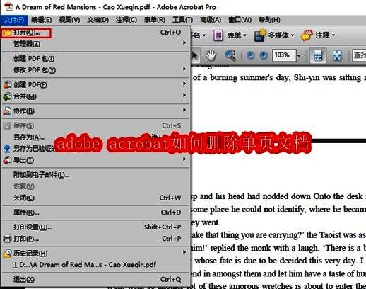 Adobe Acrobat主界面展示，界面清晰显示菜单栏与文档预览区域