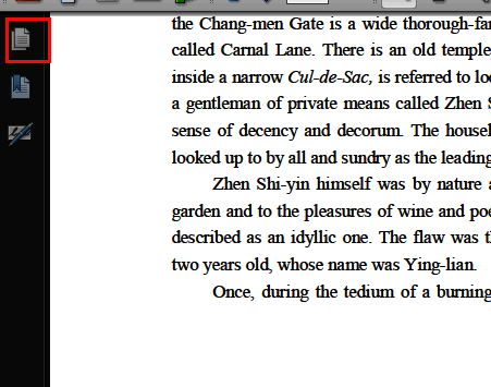 左侧边栏中页面面板已展开，显示多个PDF页面缩略图