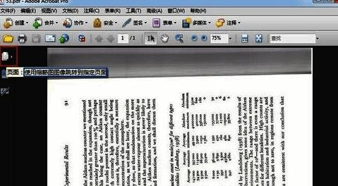 Adobe Acrobat XI Pro左侧缩略图面板打开，显示多个PDF页面的缩略图